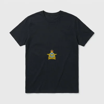 Canadian Air Force Veteran T-Shirt – RCAF emblem with crown, wings, and Latin motto – Classic T-Shirt in Black