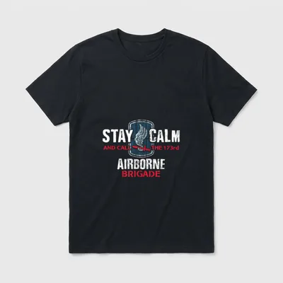 173rd Airborne Brigade Combat Team Veterans T-Shirt – Classic T-Shirt in Black