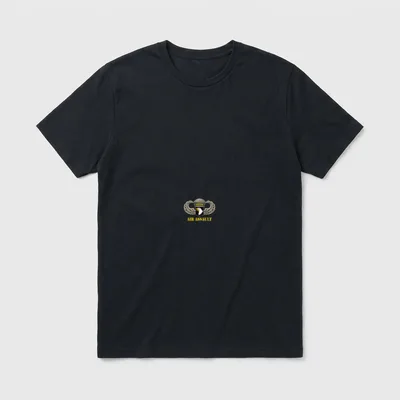 101st Airborne Division Veteran T-Shirt – Classic T-Shirt in Black