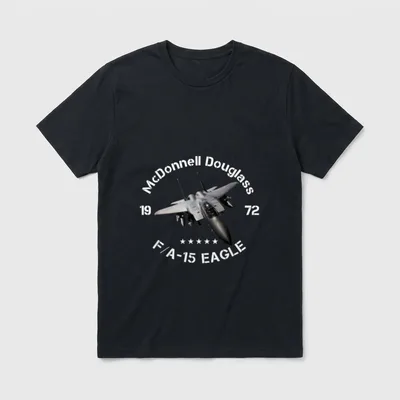 F-15 Strike Eagle Pilot Veterans Perfect T-Shirt – Classic T-Shirt in Black