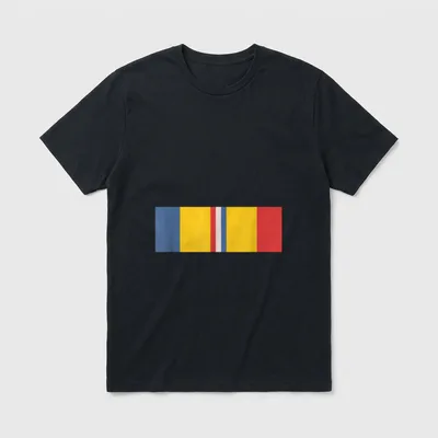 Combat Action Ribbon Veteran T-Shirt – Classic T-Shirt in Black