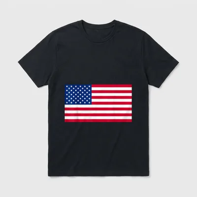 Veterans Day Memorial Day T-Shirt – Classic T-Shirt in Black