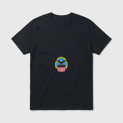 Defense Logistics Agency Veteran T-Shirt – Classic T-Shirt in Black
